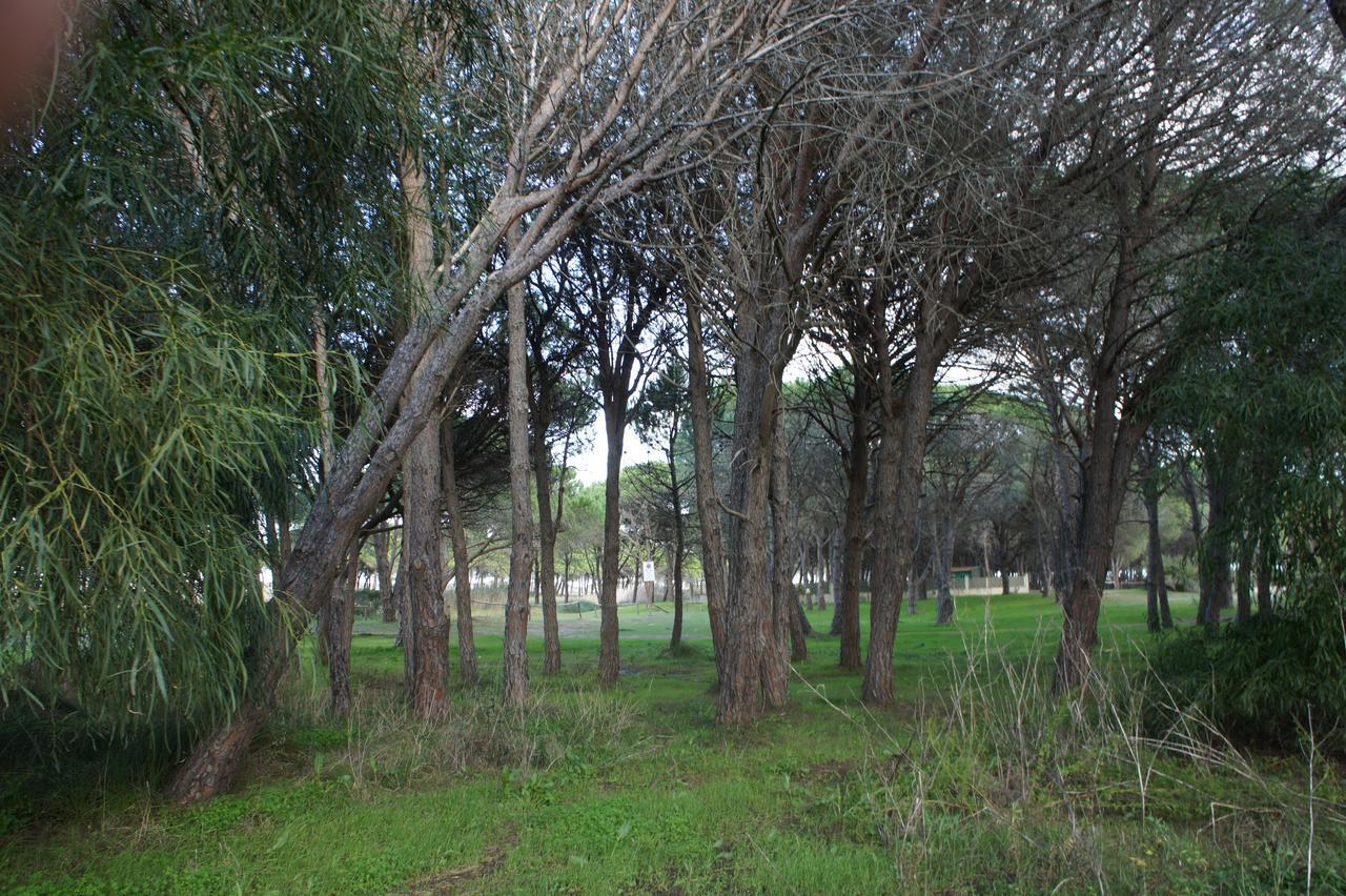 Locanda Farorientale Bed and Breakfast Santa Lucia  Buitenkant foto